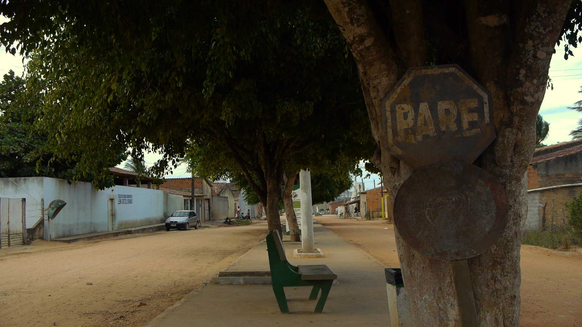Cartaz - Raízes dos Laranjeiras