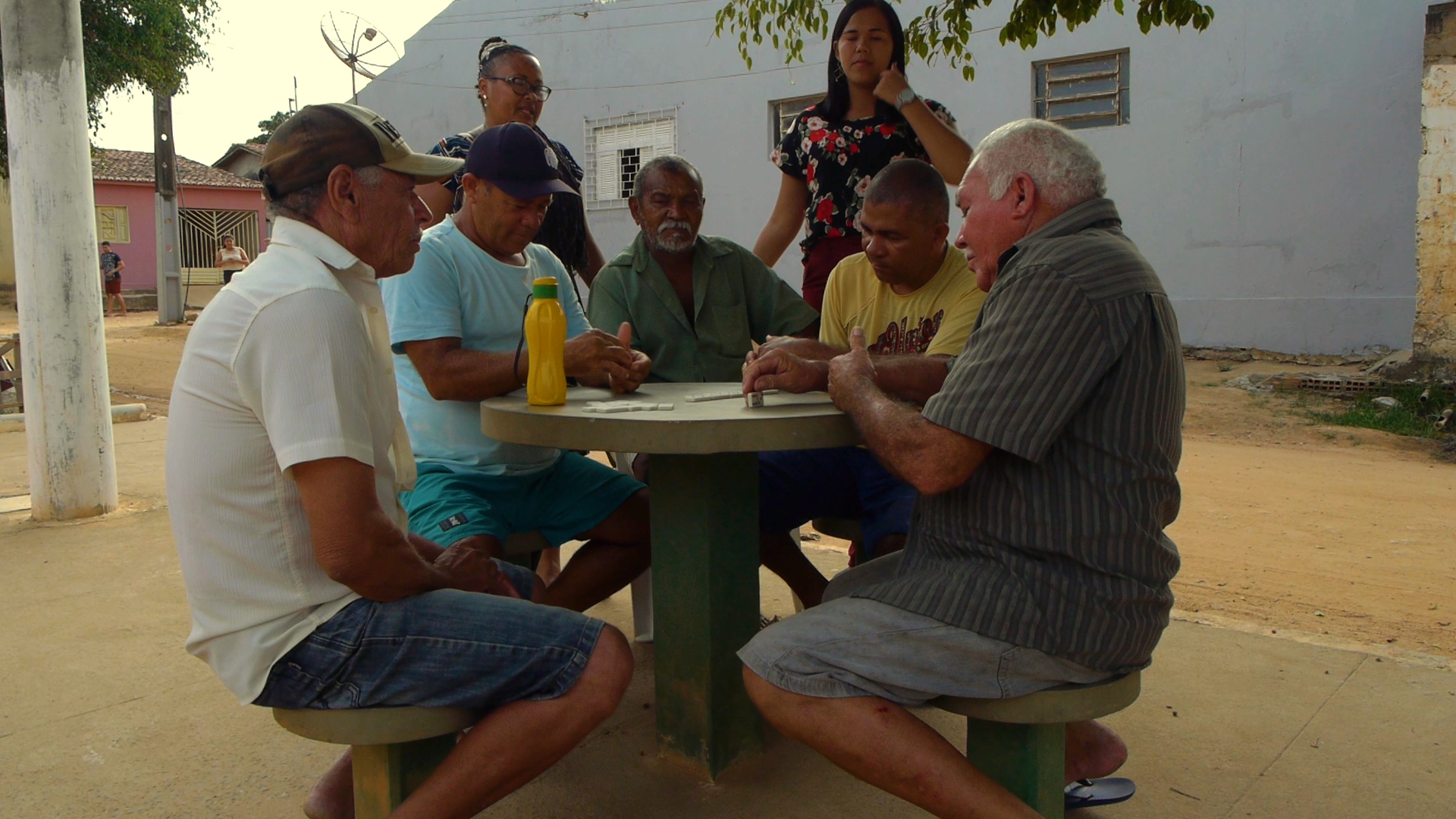 Foto - Raízes dos Laranjeiras
